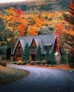 70d40e69b4db6de3097e0d52cf82a7bd[1].jpg
