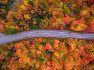 aerialviewofNewHampshire.jpg