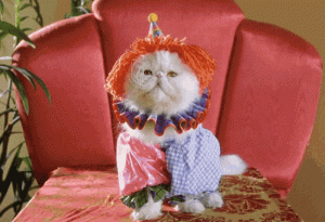 hween4-2-3-4-5-6-7.gif
