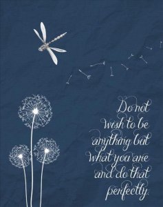2d64c10eb4289b0ecd0e4c07b872324d[1].jpg