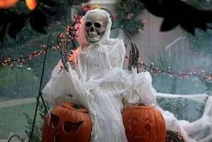 scary outside decor.jpg