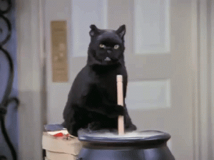 cat and cauldron.gif