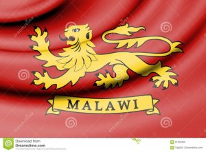 standard-president-malawi-d-rendered-91355002.jpg