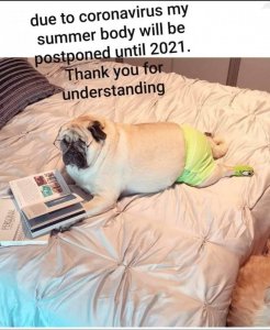 89e6e41cd1d6e9685f9dbf220defaee2.jpg