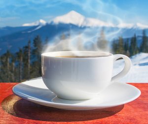 istockphoto-918516010-170667a.jpg