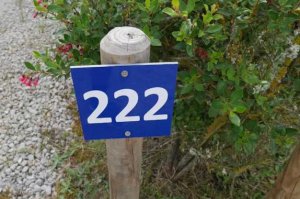 Number 222 @.jpg