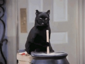 halloween cat.gif