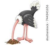 ostrich.jpg