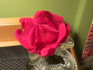 IMG_4430.JPG