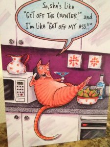 cats0.jpg
