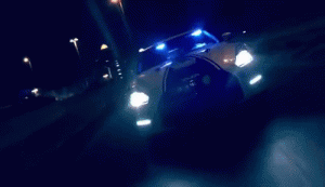 TastyHandsomeBunting-size_restricted (1).gif