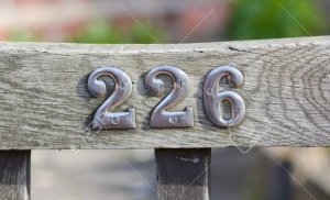 Number 226 @.jpg