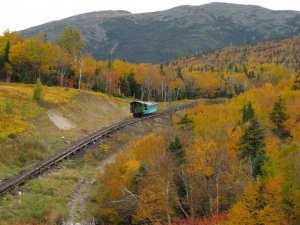 IMG_3019.JPG