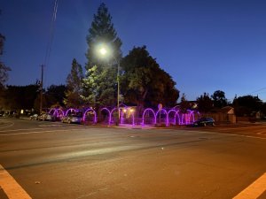 IMG_7890.jpg