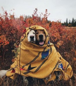 jpg-format-1603069891266271923FW2019InspirationAlbumRoadTriptoStoweAlbumonImgur.jpg