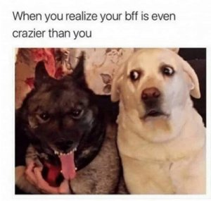 bffcrazier.jpg