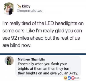 ledlightds.jpg