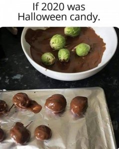 2020halcandy.jpg