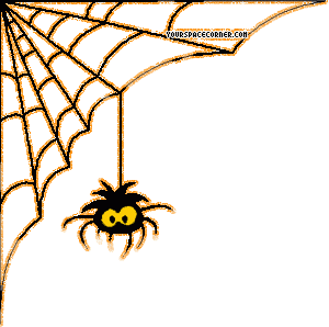 spider.gif