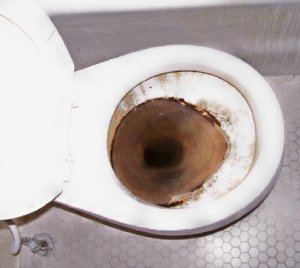 toilet1.jpg