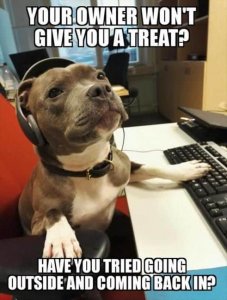 Service-Dog-Meme-Your-owner-wont-give-you-a-treat.-Have-you-tried-going-outside-and-coming-bac...jpg