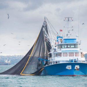 3-us-senators-introduce-legislation-to-ban-controversial-driftnet-fishing.jpg
