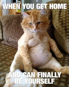 funny-cat-sitting-like-a-human-700x881.jpg