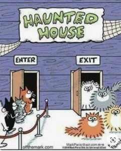 hauntedhouse.jpg