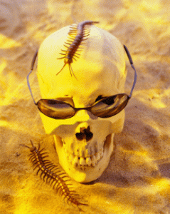 winking skull.gif
