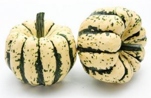 dumpling squash.jpg