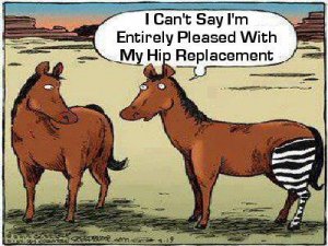 hip replacement.jpg