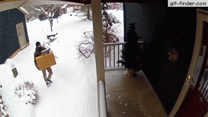 UPS-vs-FedEx.gif