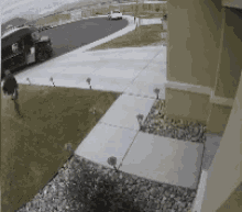 tenor.gif
