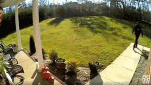 Shocking_FedEx_Delivery_Fails_Super_Cut_Compilation - Copy.gif