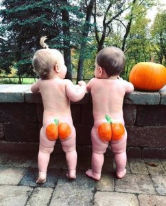 pumpkins.jpg