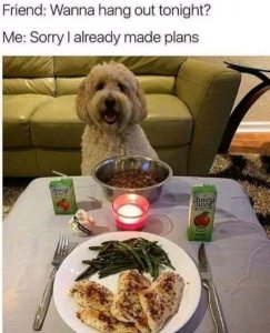 FB_IMG_16035163809401403.jpg