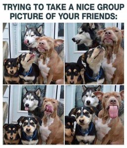 FB_IMG_16035104084324199.jpg