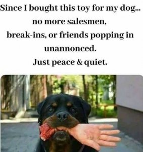 dogtoy.jpg