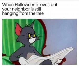 halloweenneighbor.jpg