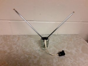 rabbit ears.jpg