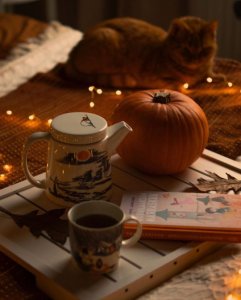 tumblr_869a19e6d1004faf54f329ee5b725e95_18268721_540.jpg