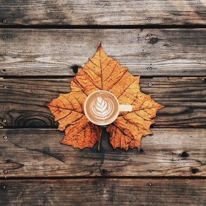 Fall Coffee Inspiration.jpg