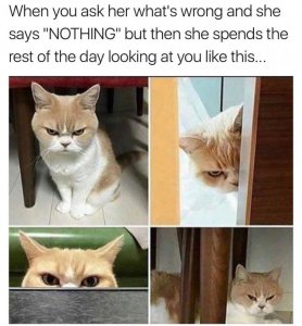 funnypic.jpg