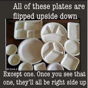 87AB50EB-E16C-4075-8F45-916F7F80E933.jpeg