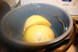 spaghetti_squash_ip.JPG