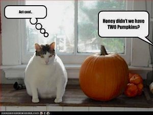 halloween-funny1.jpg