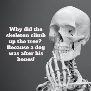 halloween-jokes-21.jpg