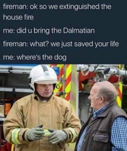 dalmation.jpg