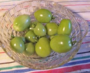 green tomatos.jpg