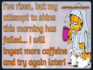 5569D19A-BB1B-4430-8FE7-F23D16A1501D.jpeg